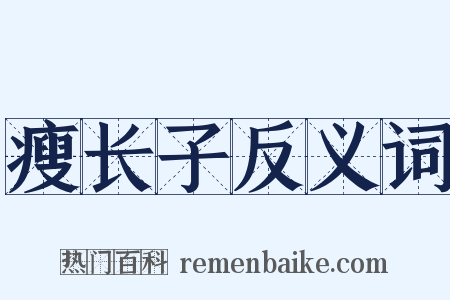 瘦长子反义词是什么意思的图片